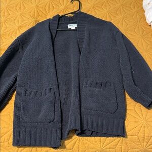 American Eagle Outfitters Navy Cardigan Sweater